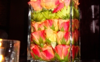 stacked-rose-buds